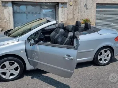 Usata Peugeot 307 CC 109 CV (80 kW) 2004 Grigio Cabrio