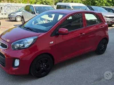 Usata Kia Picanto Active 67 CV (49 kW) 2017 Rosso Utilitaria