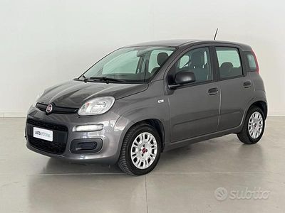 Usata Fiat Panda Easy 70 CV (51 kW) 2021 Grigio Berlina
