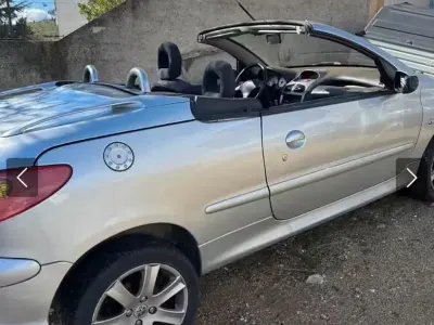 Usata Peugeot 206 CC 109 CV (80 kW) 2006 Grigio Cabrio