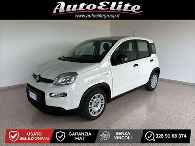 Usata Fiat Panda S 70 CV (51 kW) 2024 Bianco Utilitaria