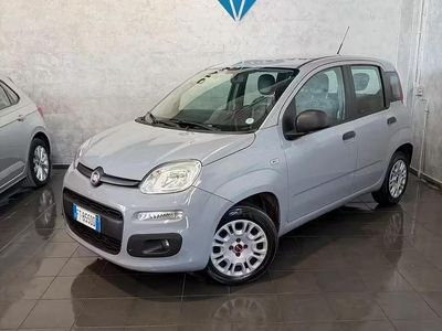 Usata Fiat Panda Pop 69 CV (50 kW) 2018 Grigio Utilitaria
