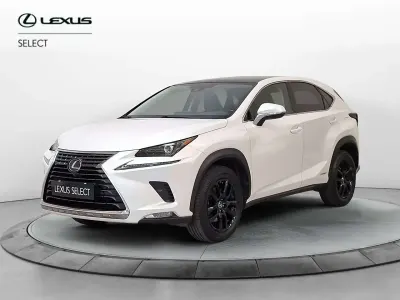 Usata Lexus NX300h