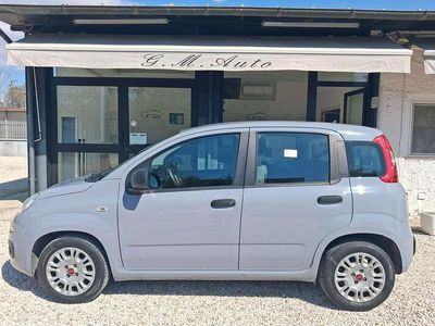 Usata Fiat Panda City Life 69 CV (50 kW) 2022 Grigio campovolo Utilitaria