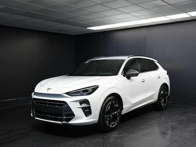 Usata Cupra Terramar 150 CV (110 kW) 2025 Bianco SUV