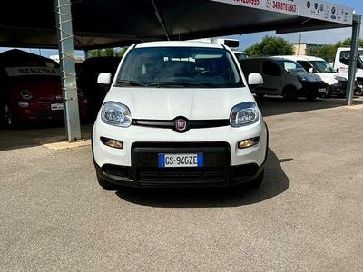 Usata Fiat Panda S 70 CV (51 kW) 2024 Bianco Utilitaria