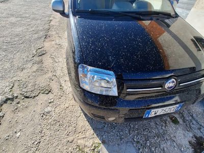 usata Fiat Panda Panda 1.3 MJT 16V DPF Dynamic