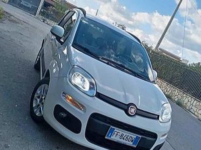 Usata Fiat Panda 95 CV (69 kW) 2016 Bianco Utilitaria