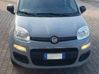 Usata Fiat Panda 69 CV (50 kW) 2021 Grigio Utilitaria