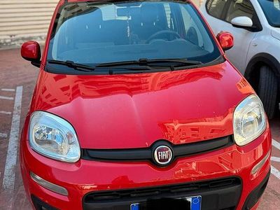 Usata Fiat Panda Lounge 69 CV (50 kW) 2019 Rosso Utilitaria