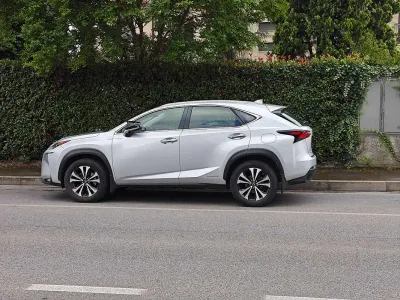 Usata Lexus NX300h Executive Line 155 CV (114 kW) 2016 Argento SUV