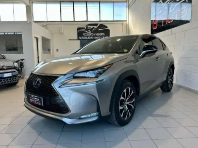 Usata Lexus NX300h Sport Line 155 CV (114 kW) 2015 Grigio SUV