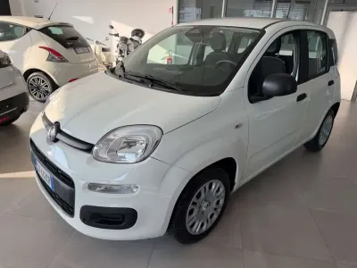 Usata Fiat Panda S 69 CV (50 kW) 2025 Bianco Utilitaria