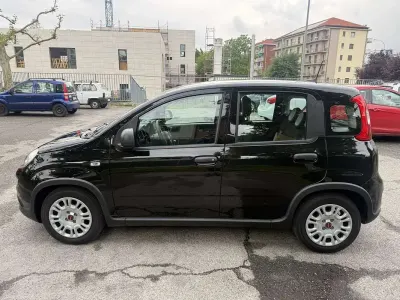 Usata Fiat Panda City Life 69 CV (50 kW) 2023 Utilitaria