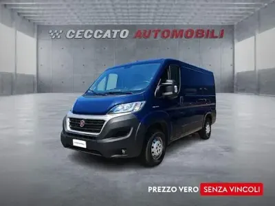 Usata Fiat Ducato 116 CV (85 kW) 2019 Blu Furgone