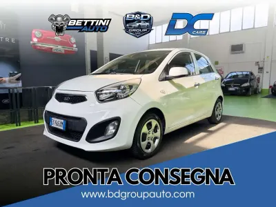 Usata Kia Picanto 67 CV (49 kW) 2015 Bianco Utilitaria