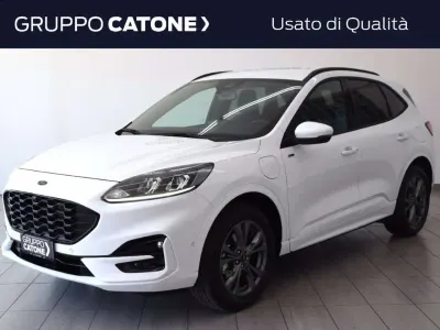 Usata Ford Kuga ST-Line 243 CV (178 kW) 2024 Bianco SUV