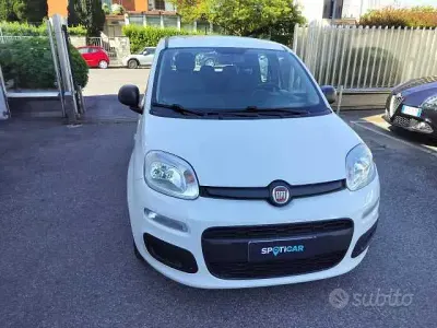 Usata Fiat Panda S 70 CV (51 kW) 2021 Bianco Utilitaria