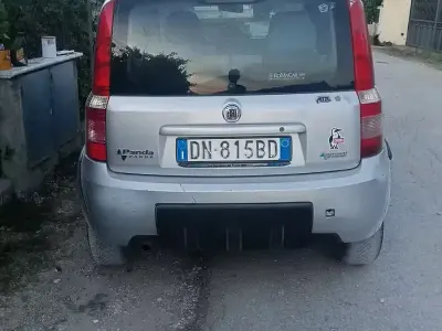 Usata Fiat Panda 4x4 60 CV (44 kW) 2009 Grigio Utilitaria