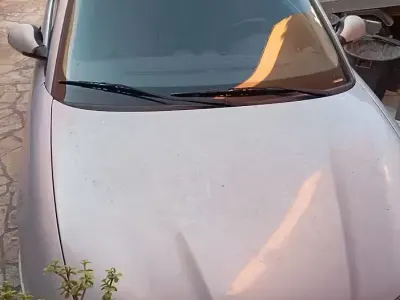 Usata Seat Ibiza
