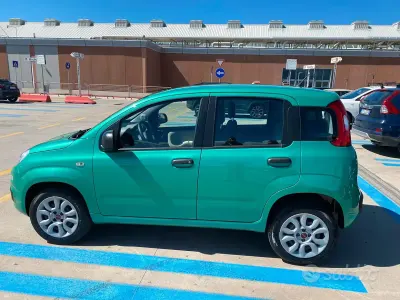 Usata Fiat Panda 85 CV (62 kW) 2015 Verde Utilitaria