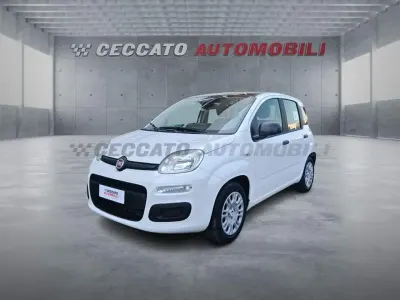 Nuova Fiat Panda Icon 65 CV (47 kW) 2026 Bianco Utilitaria