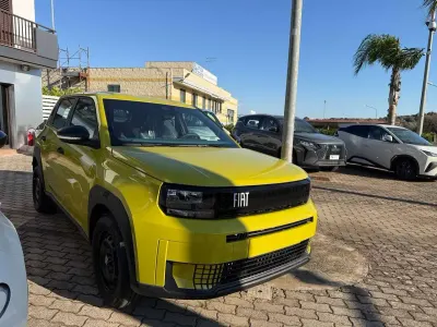 Usata Fiat Grande Panda