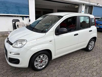 Usata Fiat Panda Lounge 95 CV (69 kW) 2016 Bianco Utilitaria