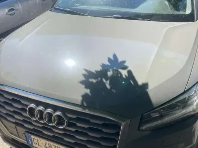Usata Audi Q2 Business 116 CV (85 kW) 2020 Quantum grey SUV
