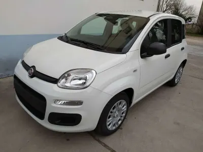 Usata Fiat Panda