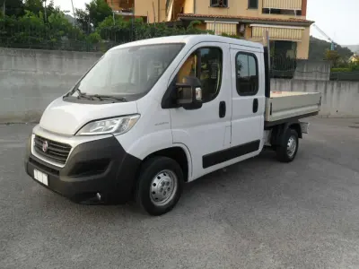 Usata Fiat Ducato 116 CV (85 kW) 2018 Bianco Furgone