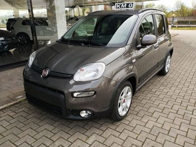 usata Fiat Panda 1.0 1.0 FireFly S&S Hybrid