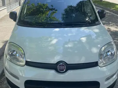 Usata Fiat Panda Easy 69 CV (50 kW) 2017 Utilitaria