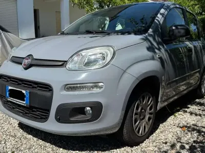 Usata Fiat Panda Easy 69 CV (50 kW) 2017 Grigio Utilitaria