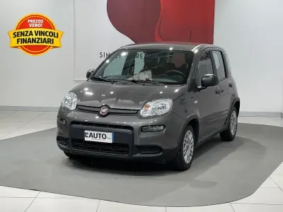 Usata Fiat Panda S 70 CV (51 kW) 2023 Grigio Utilitaria