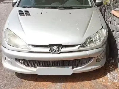 Usata Peugeot 206