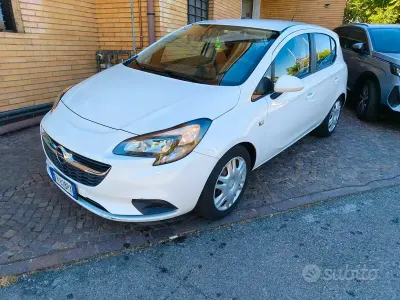Usata Opel Corsa Innovation 69 CV (50 kW) 2017 Bianco Utilitaria