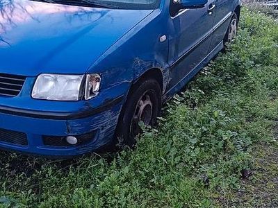 Usata VW Polo 2000 Berlina