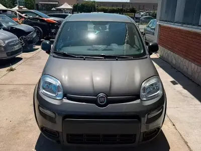 Usata Fiat Panda 69 CV (50 kW) 2023 Grigio Utilitaria