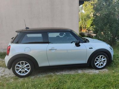 Usata Mini Cooper 136 CV (100 kW) 2020 Utilitaria