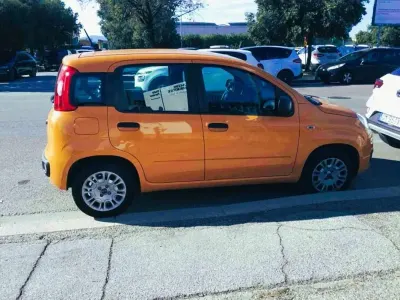Usata Fiat Panda