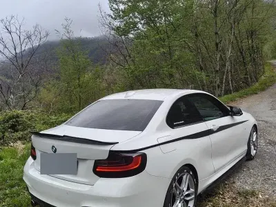 Usata BMW 220