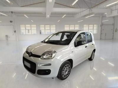 Usata Fiat Panda Easy 69 CV (50 kW) 2020 Utilitaria