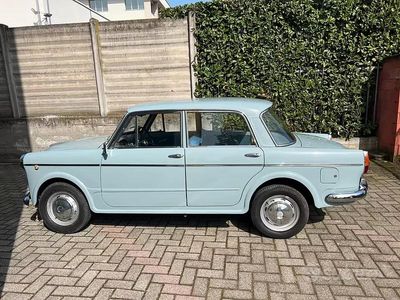 Käytetty Fiat 1100 13 HP (9 kW) 1960 Sininen Sedan