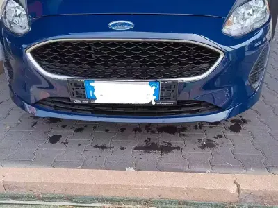 Usata Ford Fiesta