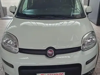 Usata Fiat Panda City Life 69 CV (50 kW) 2023 Bianco Utilitaria