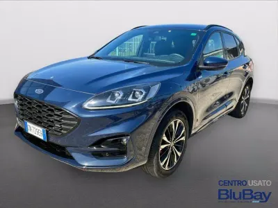 Usata Ford Kuga ST-Line X 225 CV (165 kW) 2023 Blu SUV