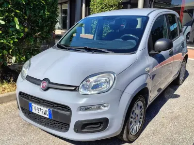 Usata Fiat Panda Easy 69 CV (50 kW) 2019 Grigio Utilitaria