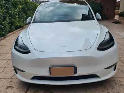Occasion Tesla Model Y Performance 185 kW (252 ch) 2023 Blanc SUV