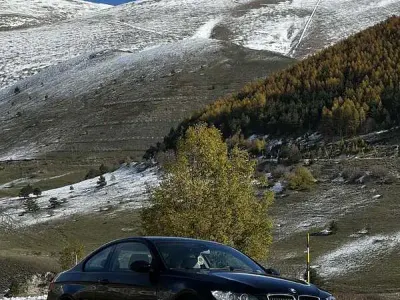 Usata BMW 320